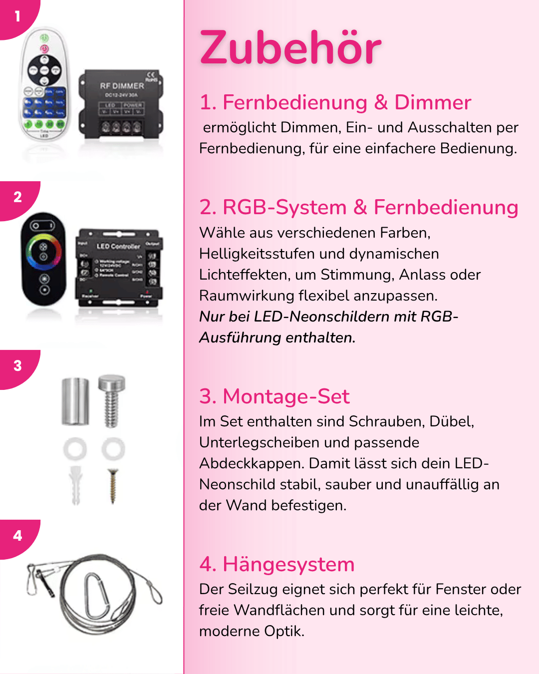 Individuelles LED-Neonschild 'EVO'